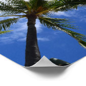 Tropische palmbomen Foto Poster (Hoek)