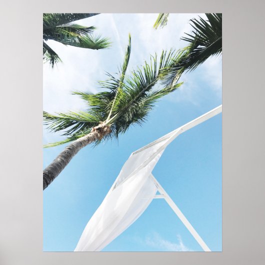 Tropische palmbomen onder blauwe hemelfotografie poster (Voorkant)
