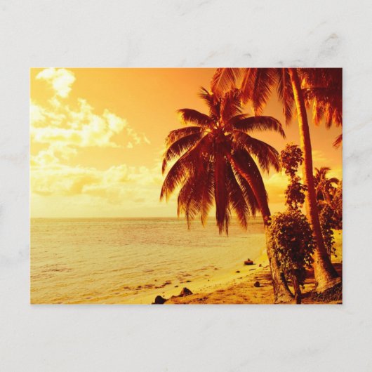 Tropische palmbomen op het strand op het briefkaar briefkaart (Voorkant)