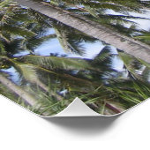 Tropische palmbomen perfect poster (Hoek)
