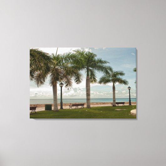 Tropische palmbomen van de Maagdeneilanden Canvas Afdruk (Voorkant)