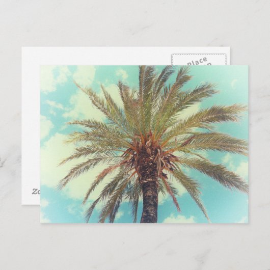  tropische palmboom briefkaart (Voorkant / Achterkant)
