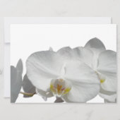 Tropische palmboom met orchideeën kaart (Achterkant)