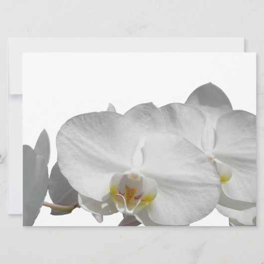 Tropische palmboom met orchideeën kaart (Achterkant)