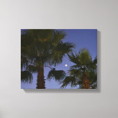 Tropische Palmboom Muurkunst Schemering Kuststreek Canvas Afdruk (Voorkant)