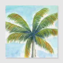 Tropische palmboom op een zonnige dag