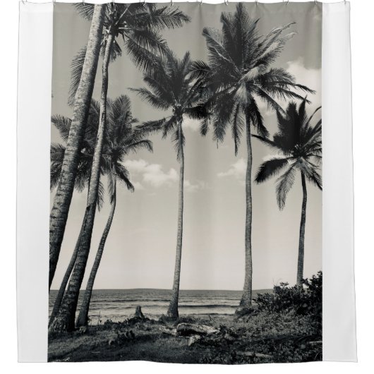 TROPISCHE PALMBOOM OP HET BEDRIJF DOUCHEGORDIJN (Voorkant)