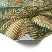  tropische palmboom, Retro botanisch Poster (Hoek)