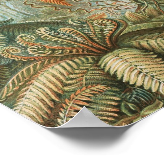  tropische palmboom, Retro botanisch Poster (Hoek)