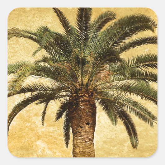  tropische palmboom vierkante sticker (Voorkant)