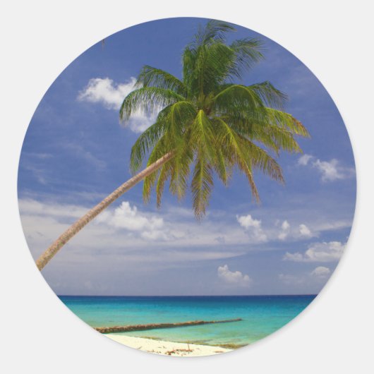 Tropische palmboom Witte zandstrand Ronde Sticker (Voorkant)