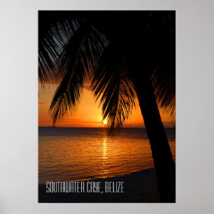 Tropische palmboom zonsondergang in Belize Poster