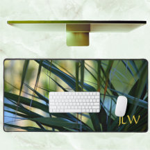 Tropische Palmen Groen Geel Blauw Natuurlijk Absta