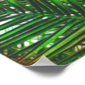 tropische palmfotokunst poster tinten groen (Hoek)