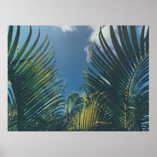 TROPISCHE PALMLIEZEN POSTER