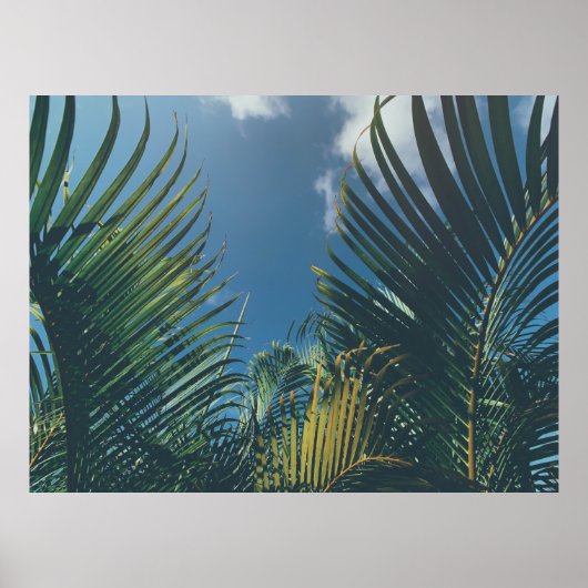 TROPISCHE PALMLIEZEN POSTER (Voorkant)
