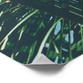 TROPISCHE PALMLIEZEN POSTER (Hoek)