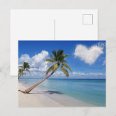 Tropische palmpalmboom tropische regenwoud briefkaart (Voorkant / Achterkant)