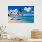 Tropische palmpalmboom tropische regenwoud poster (Keuken)