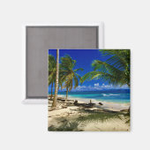 Tropische palms San Blas Panama Sandy Beach Island Magneet (Voorkant / Achterkant)