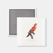 tropische papegaai magneet (Voorkant / Achterkant)