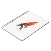 tropische papegaai notitieboek (Linkerzijde)