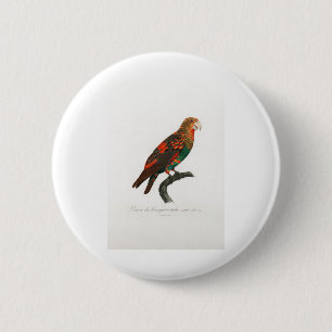 tropische papegaai ronde button 5,7 cm