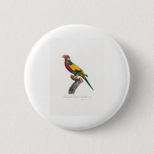 tropische papegaai ronde button 5,7 cm