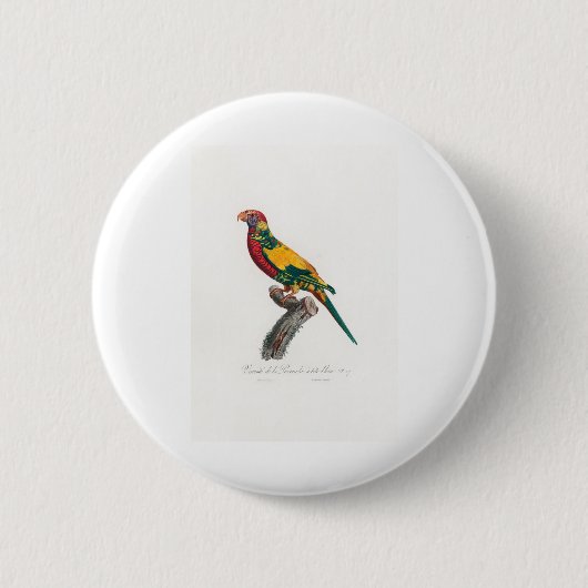 tropische papegaai ronde button 5,7 cm (Voorkant)