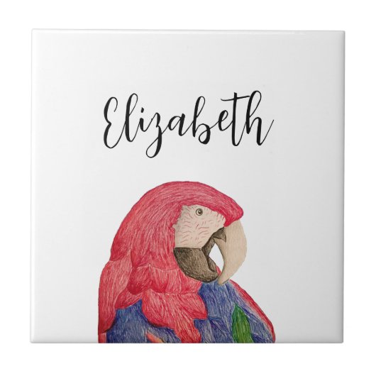 Tropische papegaai Tekening Kleurrijke ara Tegeltje (Voorkant)