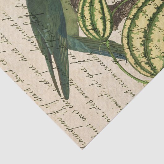  tropische papegaai tissuepapier (Detail)