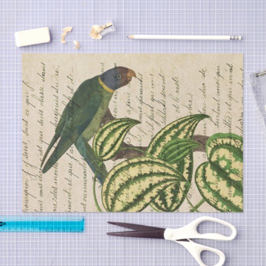  tropische papegaai tissuepapier (Craft)