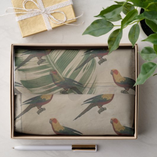 tropische papegaai tissuepapier (Geschenk)