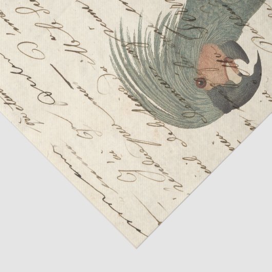  tropische papegaai tissuepapier (Detail)