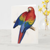 Tropische papegaai Wenskaart Kaart (Gele Bloem)