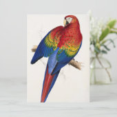 Tropische papegaaien kaart (Staand voorkant)