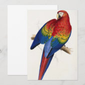 Tropische papegaaien kaart (Voorkant / Achterkant)
