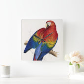 Tropische papegaaiklok vierkante klok (Huis)