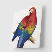 Tropische papegaaiklok vierkante klok (Hoek)