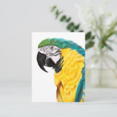 Tropische papegaaivogel briefkaart (Staand voorkant)