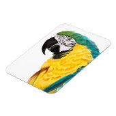 Tropische papegaaivogel magneet (Linkerzijde)