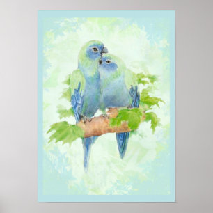 Tropische papegaaivogels met blauwe en groene Wate Poster