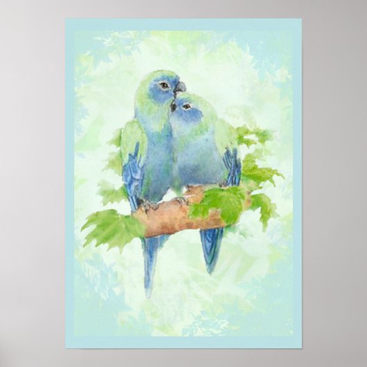 Tropische papegaaivogels met blauwe en groene Wate Poster (Voorkant)