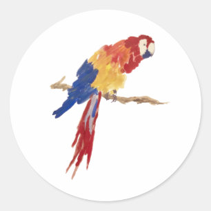 Tropische papegaaivogels schilderen ronde sticker