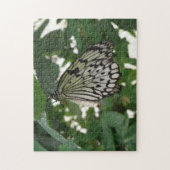 Tropische Papiervlieger Vlinder Puzzel (Verticaal)