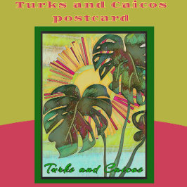 Tropische paradijse kunst van Turks en Caicos Briefkaart
