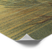 tropische paradijsvis poster (Hoek)