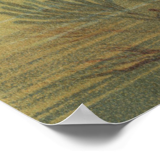  tropische paradijsvis poster (Hoek)