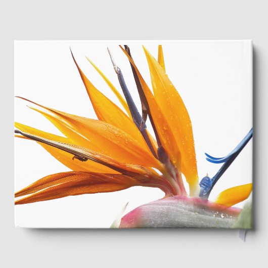 Tropische Paradijsvogel Plant Floral Wedding Gastenboek (Achterkant)