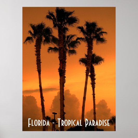 Tropische paradise Poster foto van Florida (Voorkant)